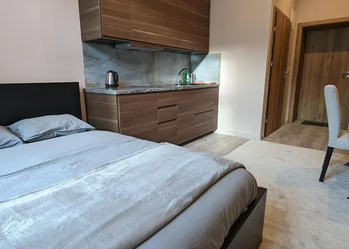 Apartment A1 In Downtown Of Krakow